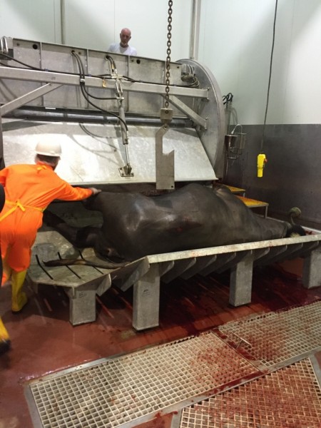 20 2015 10 28.40.50 20 2015 10 28.40.50