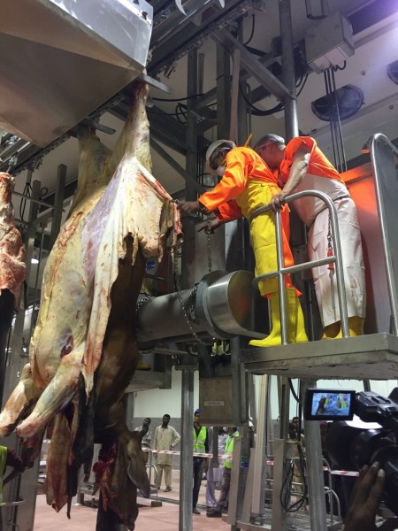 21 2015 10 28.18.54 21 2015 10 28.18.54